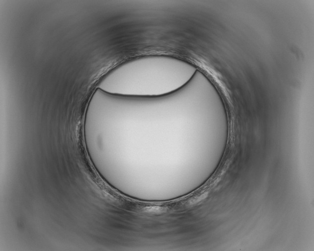 X0000113030153200908271103