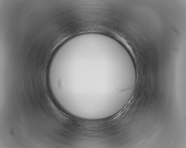 X0000113030154200908271103