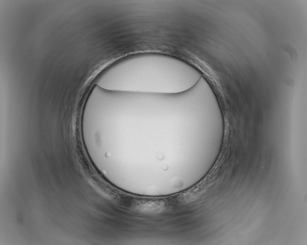 X0000113030155200908271103