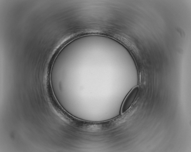 X0000113030156200908271103