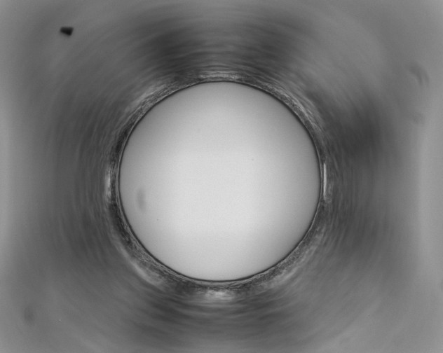 X0000113030157200908271103