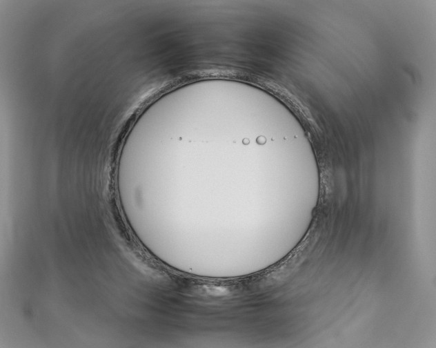 X0000113030159200908271103