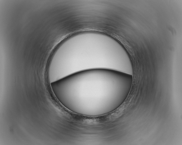 X0000113030160200908271103