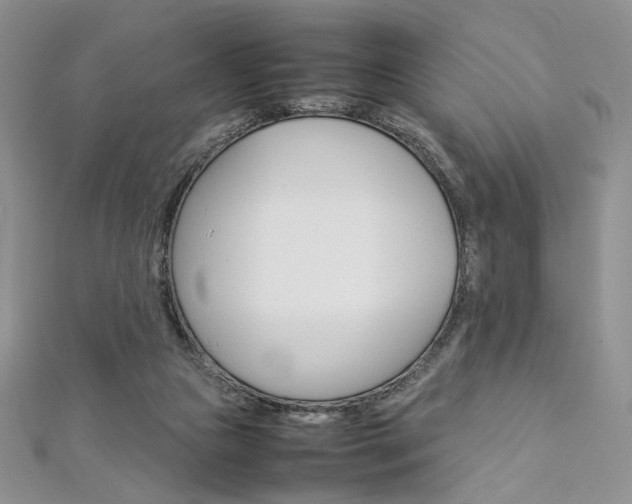 X0000113030161200908271103