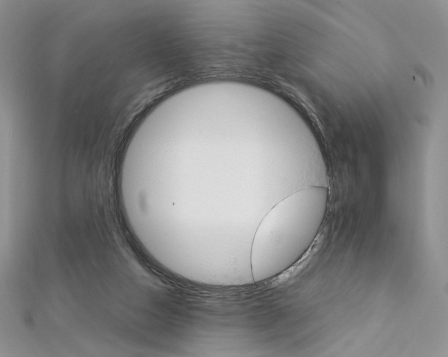 X0000113030162200908271103