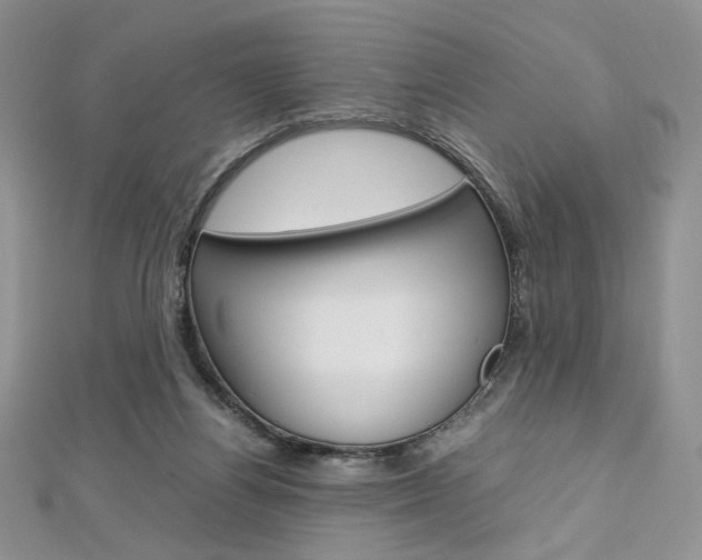 X0000113030164200908271103