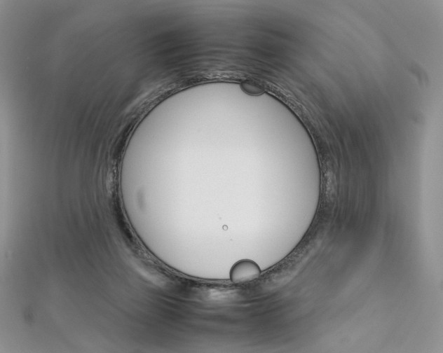 X0000113030165200908271103