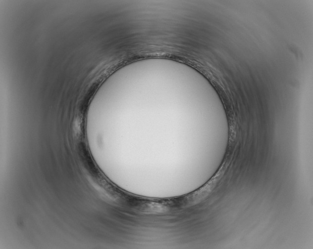 X0000113030166200908271103