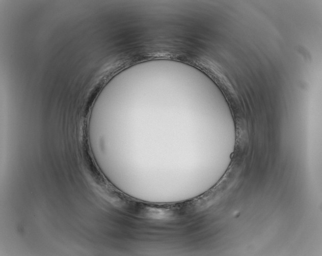 X0000113030167200908271103