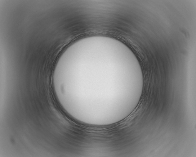 X0000113030168200908271103