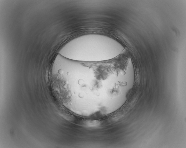 X0000113030169200908271103