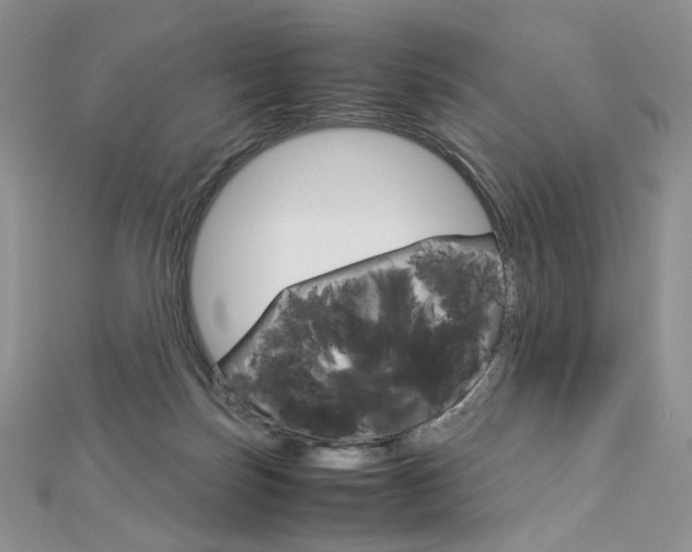 X0000113030171200908271103