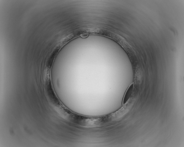 X0000113030172200908271103