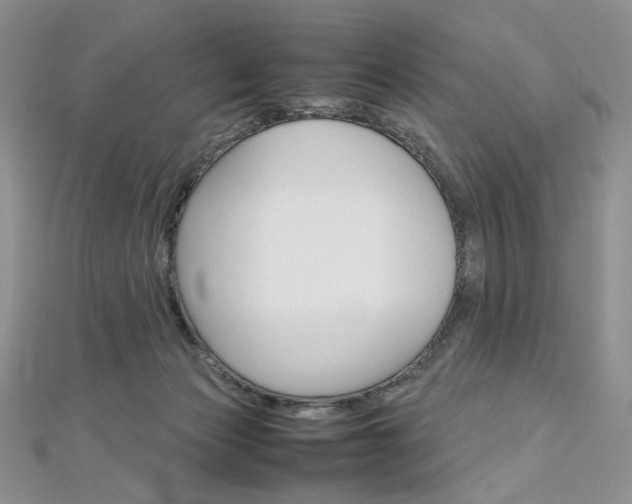 X0000113030173200908271103