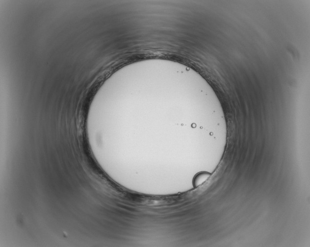 X0000113030174200908271103