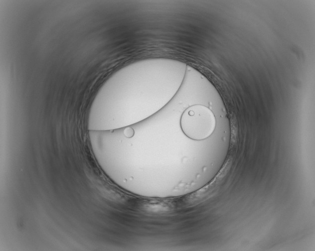 X0000113030175200908271103