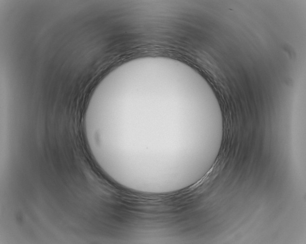 X0000113030176200908271103