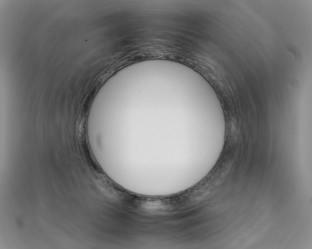 X0000113030177200908271103