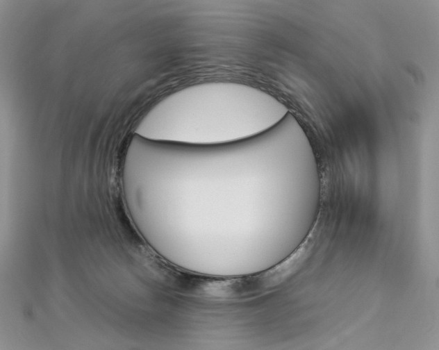 X0000113030178200908271103