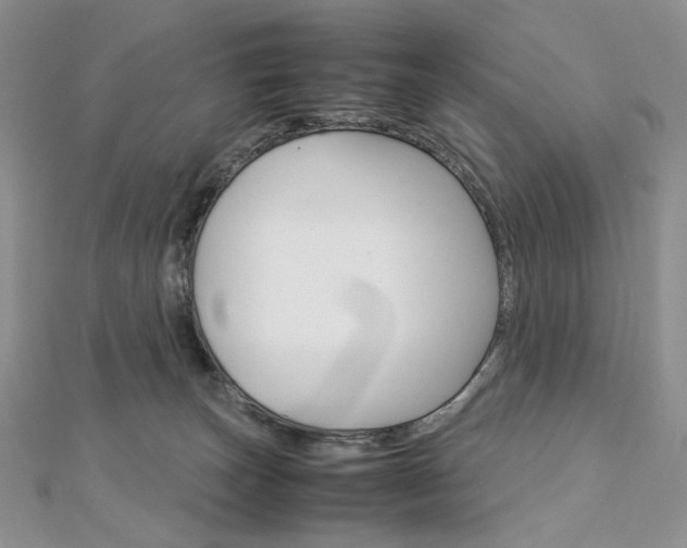 X0000113030179200908271103