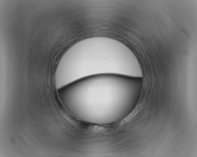 X0000113030180200908271103