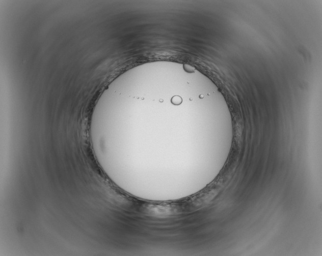 X0000113030181200908271103