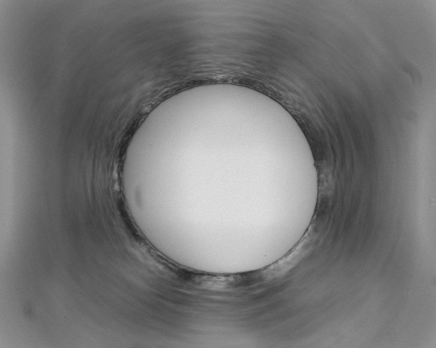 X0000113030182200908271103