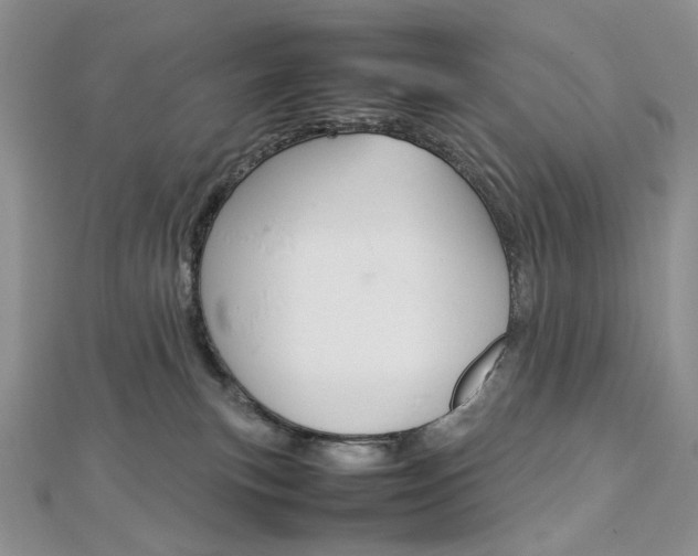 X0000113030183200908271103