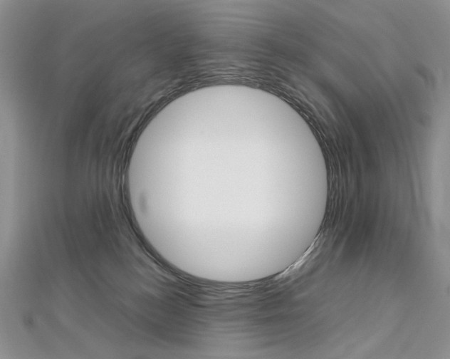 X0000113030184200908271103