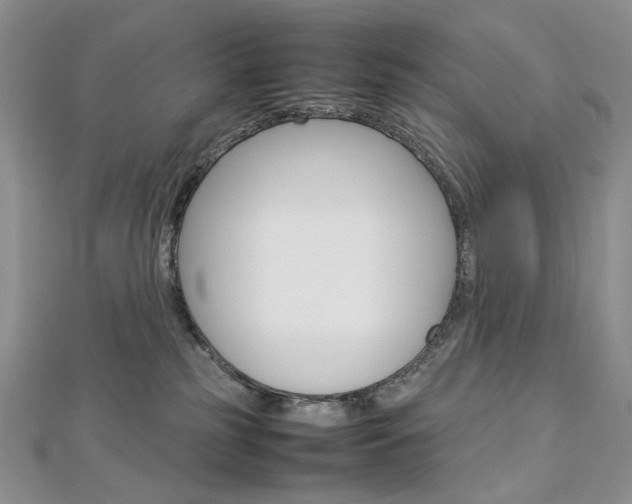 X0000113030185200908271103