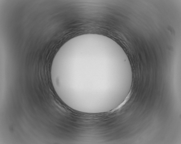 X0000113030186200908271103