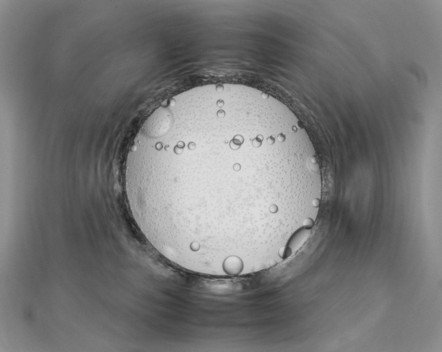 X0000113030187200908271103