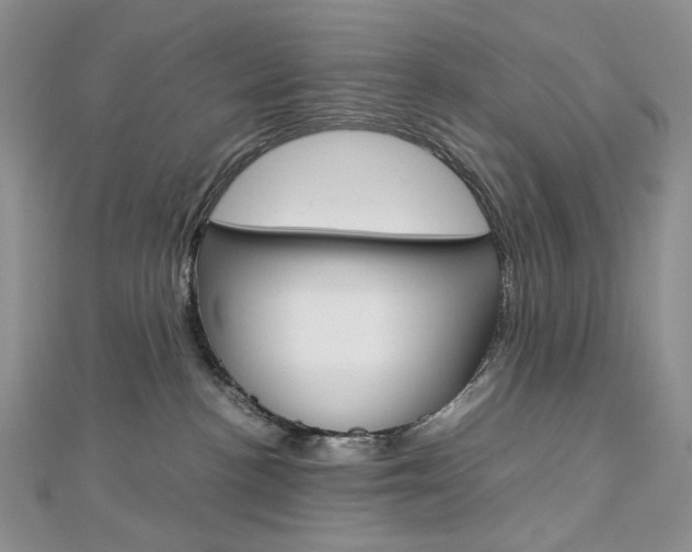 X0000113030188200908271103