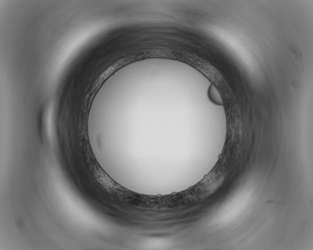 X0000113030189200908271103