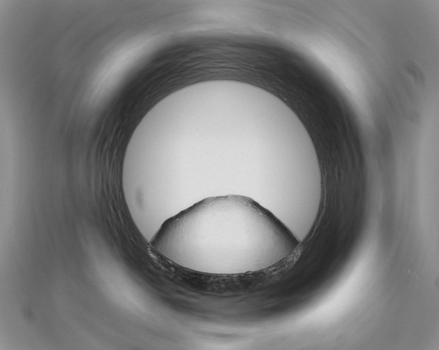 X0000113030190200908271103