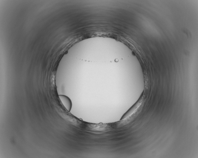 X0000113030191200908271103