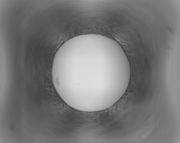 X0000113030192200908271103