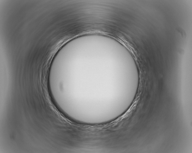 X0000113030193200908271103