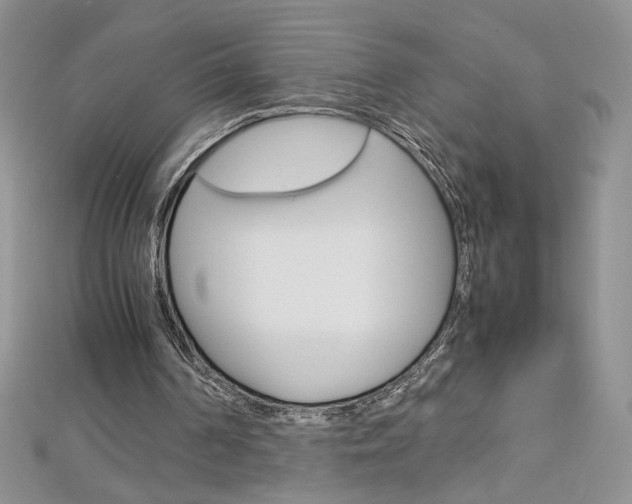 X0000113030194200908271103