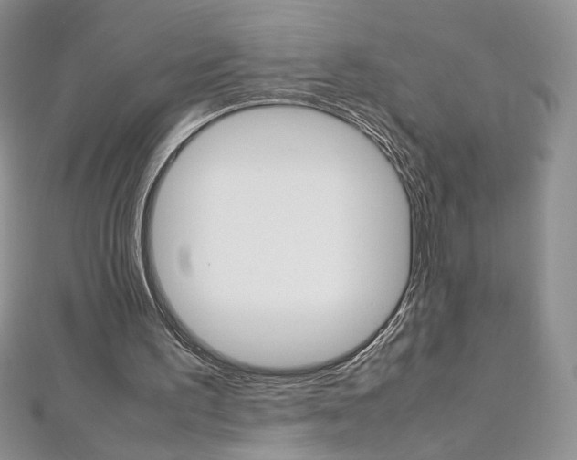 X0000113030195200908271103