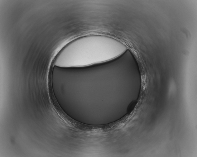 X0000113030196200908271103