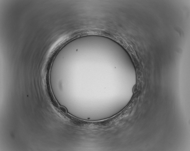 X0000113030197200908271103