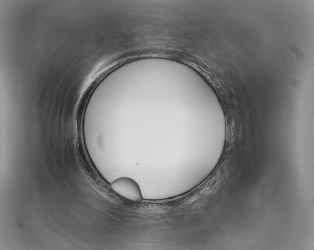 X0000113030198200908271103