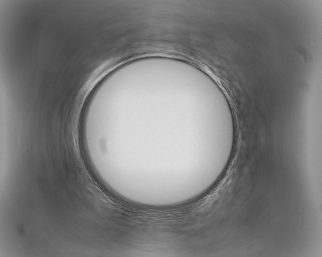 X0000113030199200908271102