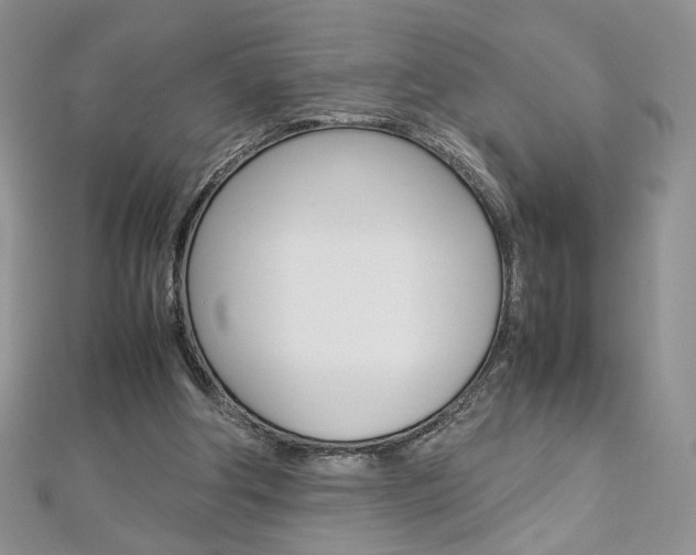 X0000113030202200908271102