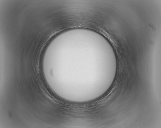 X0000113030203200908271102