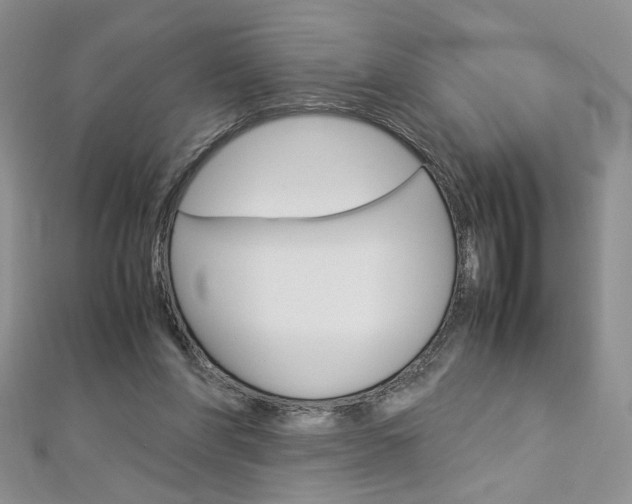 X0000113030206200908271102