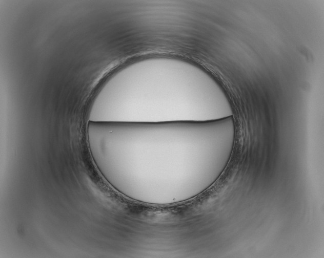 X0000113030208200908271102