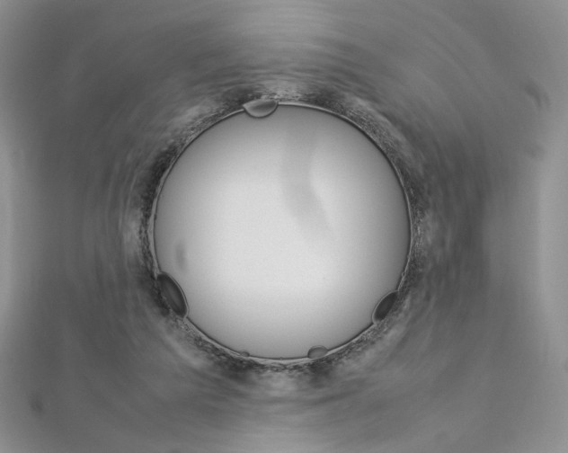 X0000113030209200908271102