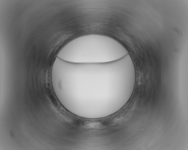 X0000113030210200908271102